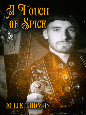 cover image of A Touch of Spice